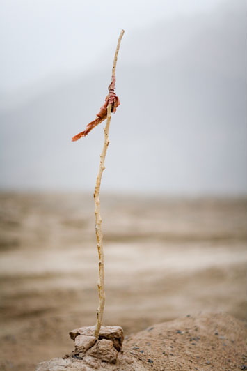Black Garden (Single Twig), 2009